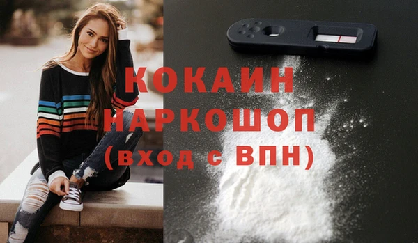 сатива Армянск