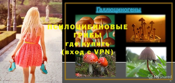 сатива Армянск