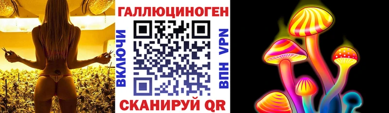 Галлюциногенные грибы Psilocybine cubensis  где найти   OMG ссылки  Тайга 